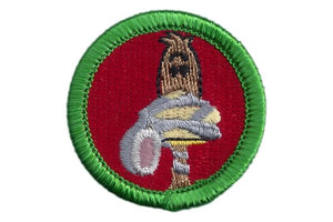 Duck Tape Merit Badge