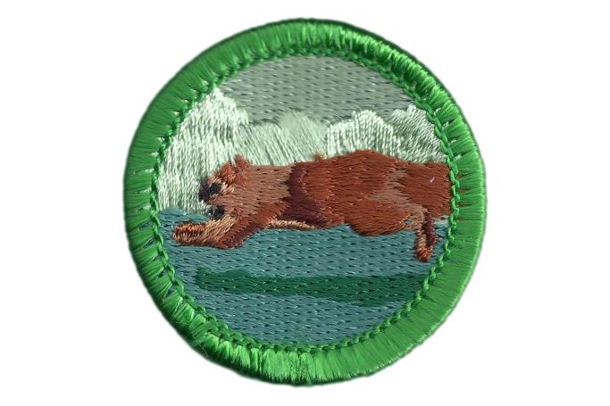 Squirrel Merit Badge