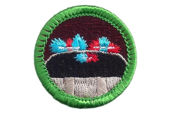 Invitation to Traffic School Merit Badge – Spoof Badges