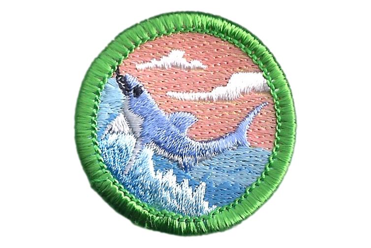 Shark Fishing Merit Badge