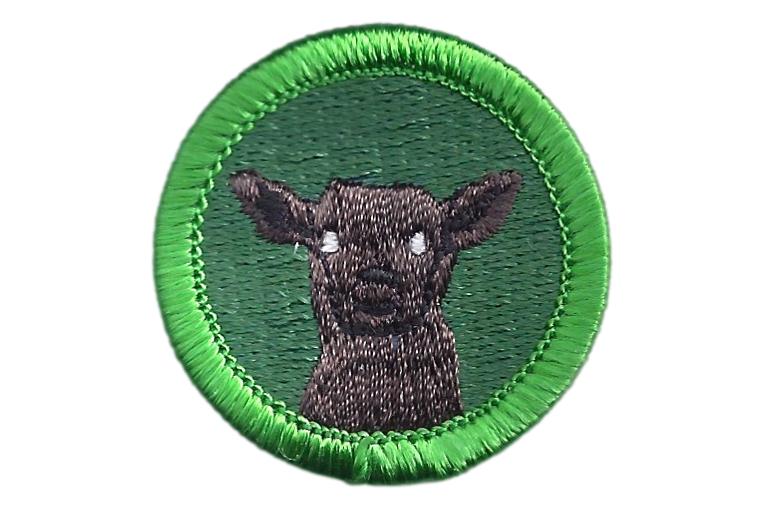 Deer in the Headlights Merit Badge