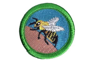 Bee Sting Merit Badge